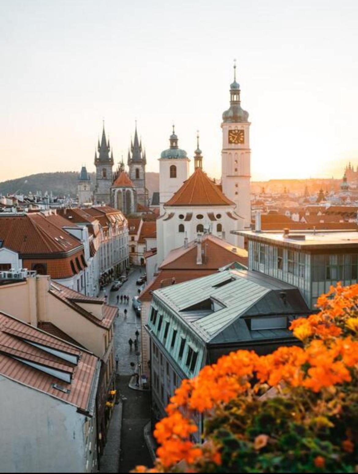 Apartmán Bílkova Praha